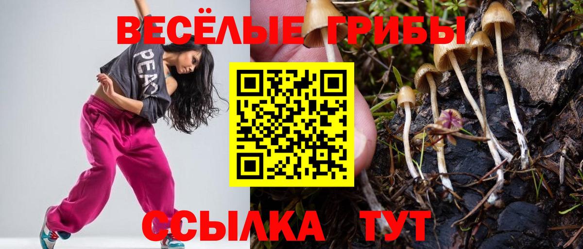 Губкин  Галлюциногенные грибы GOLDEN TEACHER  Вход с VPN 