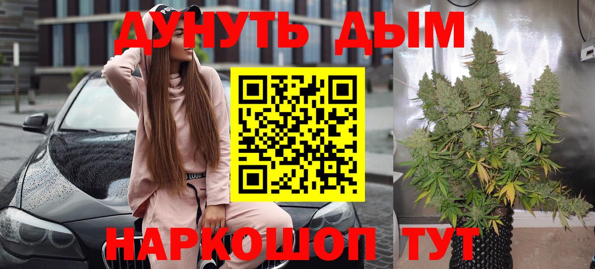 Бошки марихуана Amnesia Губкин